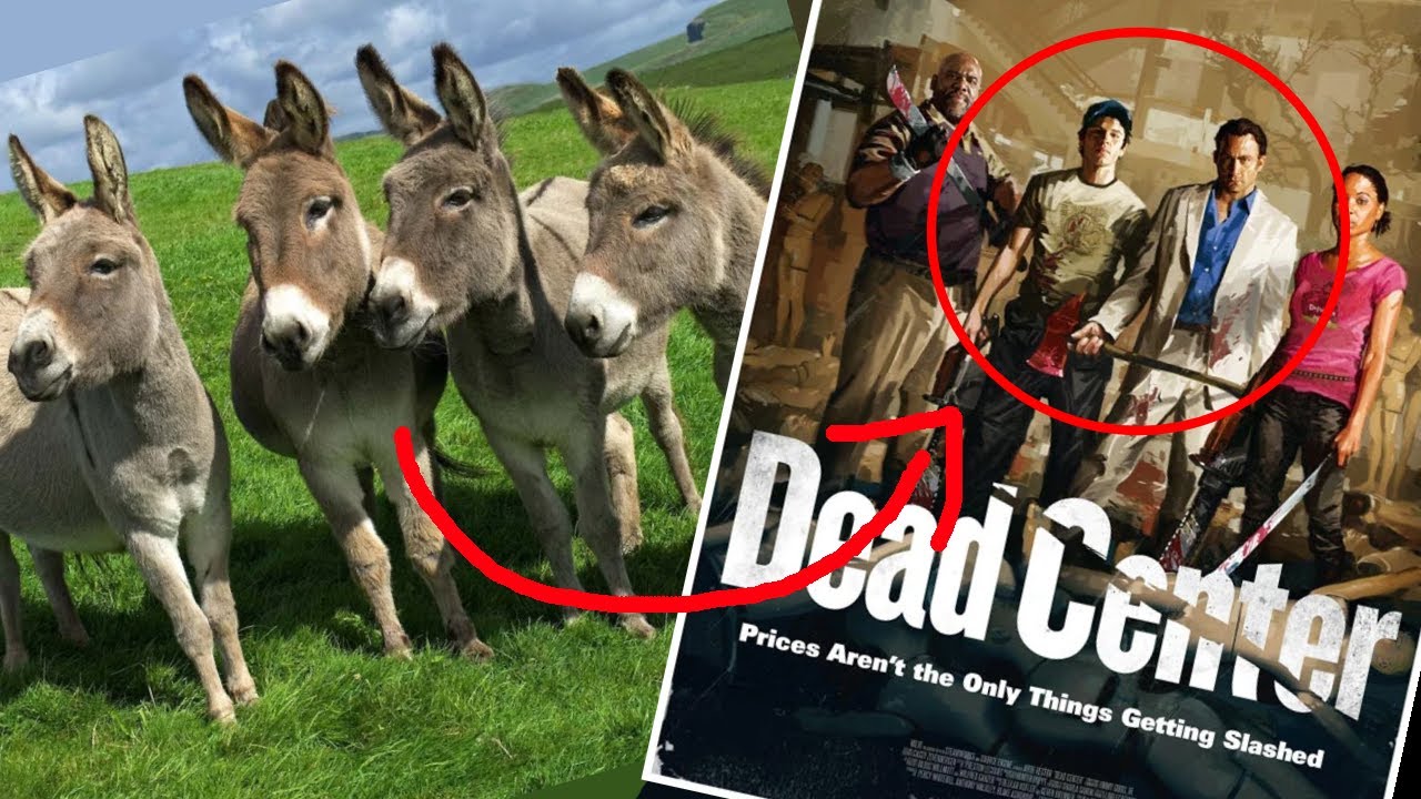 c team de burros| Left 4 Dead 2