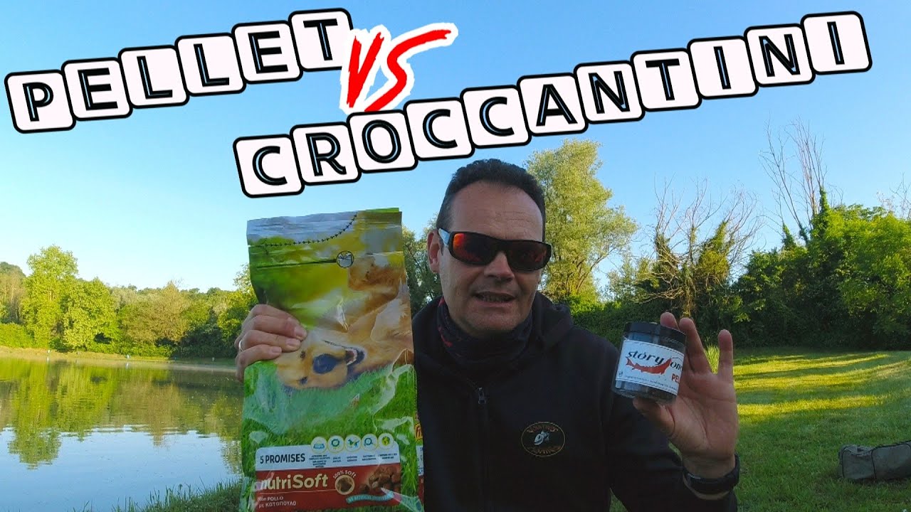 PESCA ALLO STORIONE : PELLET VS CROCCANTINI