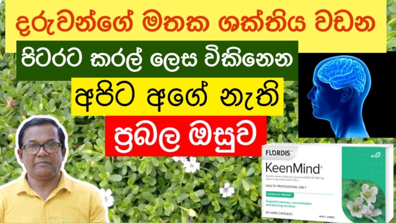 ඉගෙන ගන්න දරුවන්ට දෙන්න හොඳම ඔසුව | Bacopa monnieri | Ceylon Agri | Episode 152