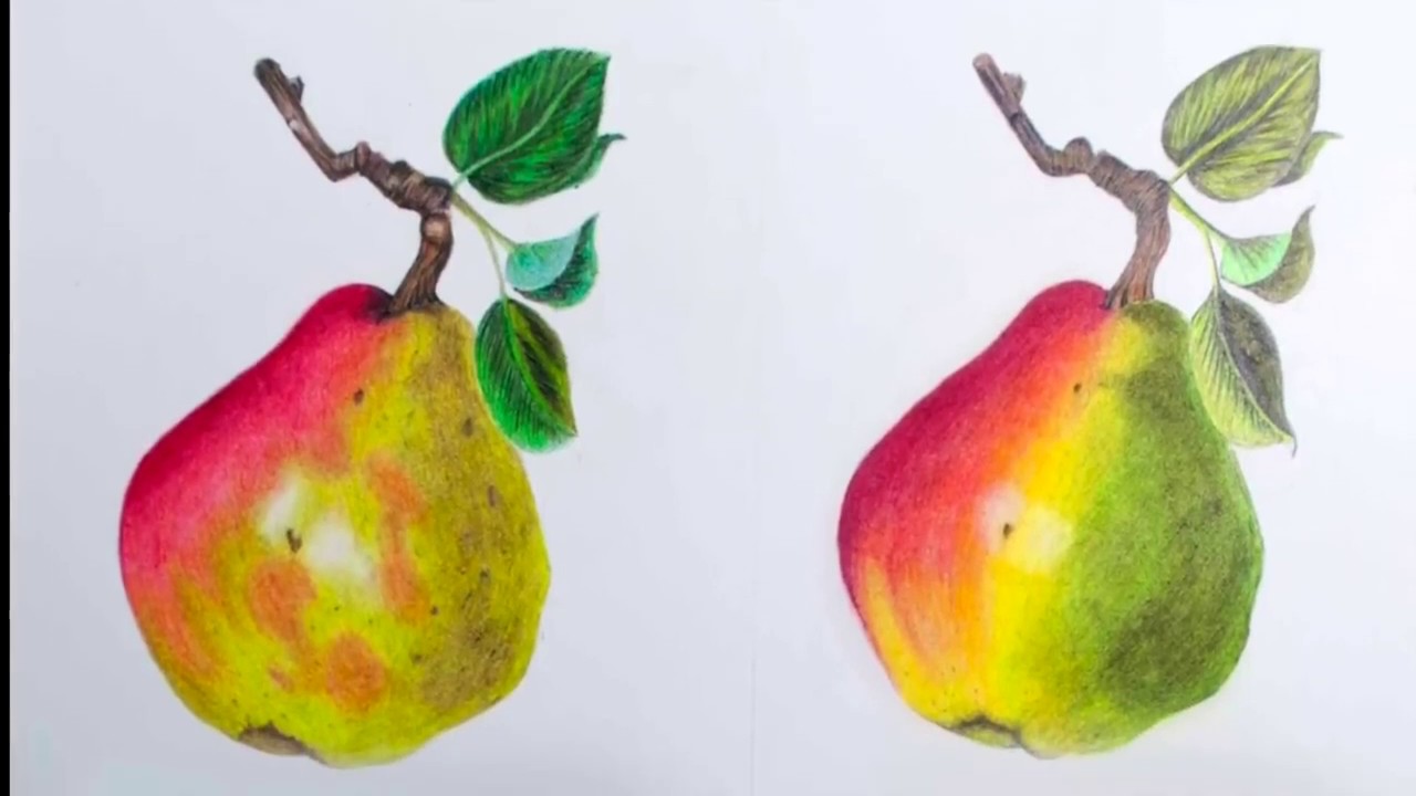 Comparando os lápis: Derwent Lightfast, Artists, Coloursoft & Procolour