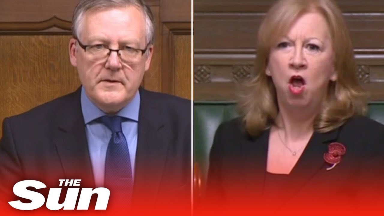 'You're irritating,' MP called out for rude remark to deputy speaker #Shorts