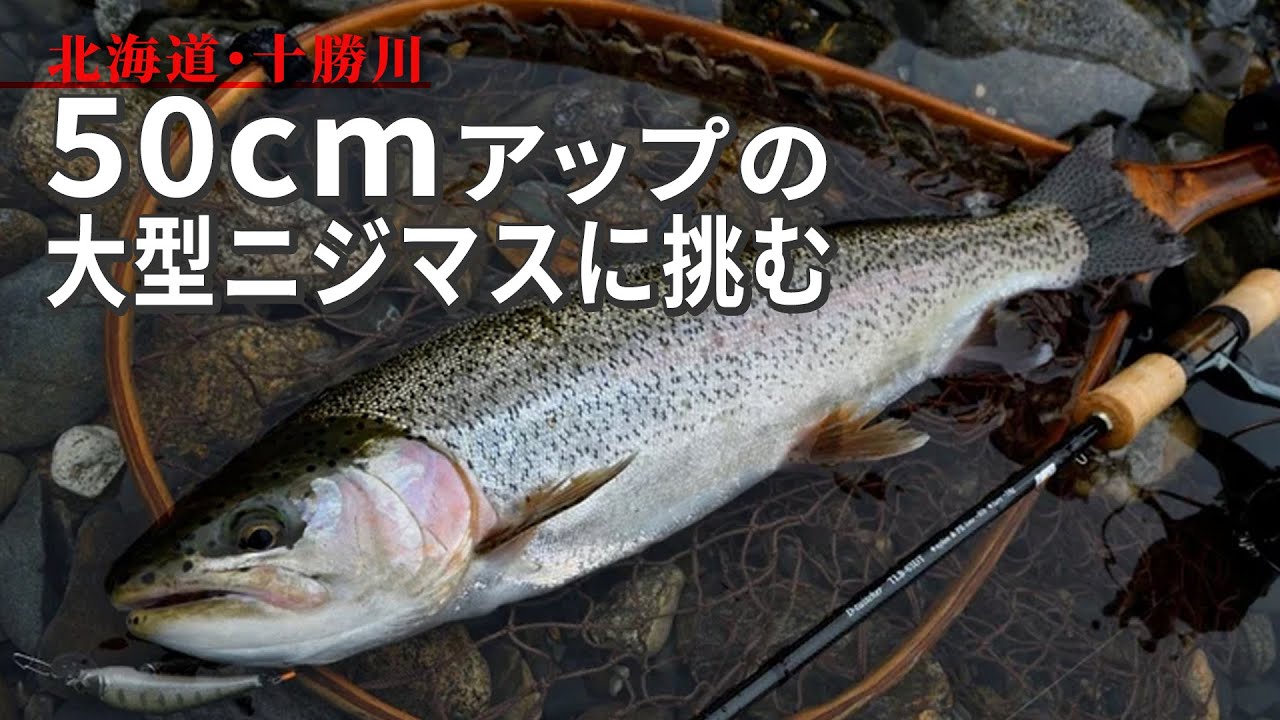 【渓流釣り】50cmアップをねらえ！十勝川のデカいニジマスに挑む