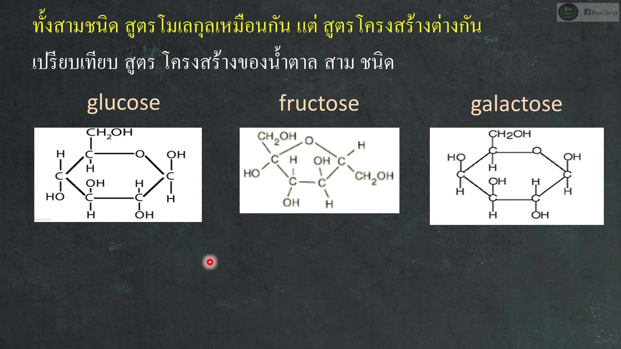 ชีววิทยา เคมีที่เป็นพื้นฐานของสิ่งมีชีวิต