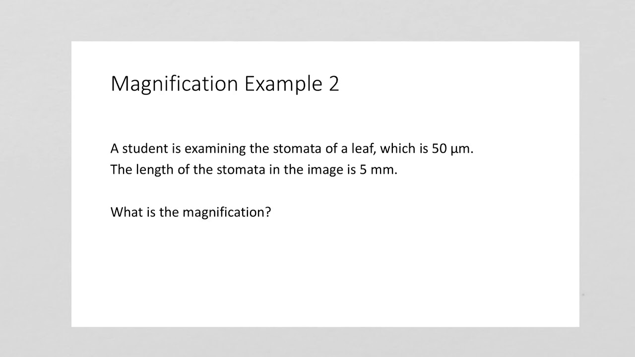 Magnification calculation where image and actual sizes have different units