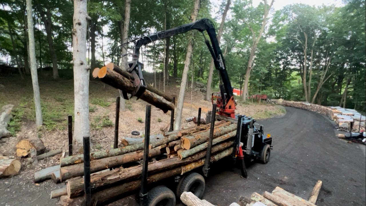 #499 Firewood Logs Delivered to the Woodyard!