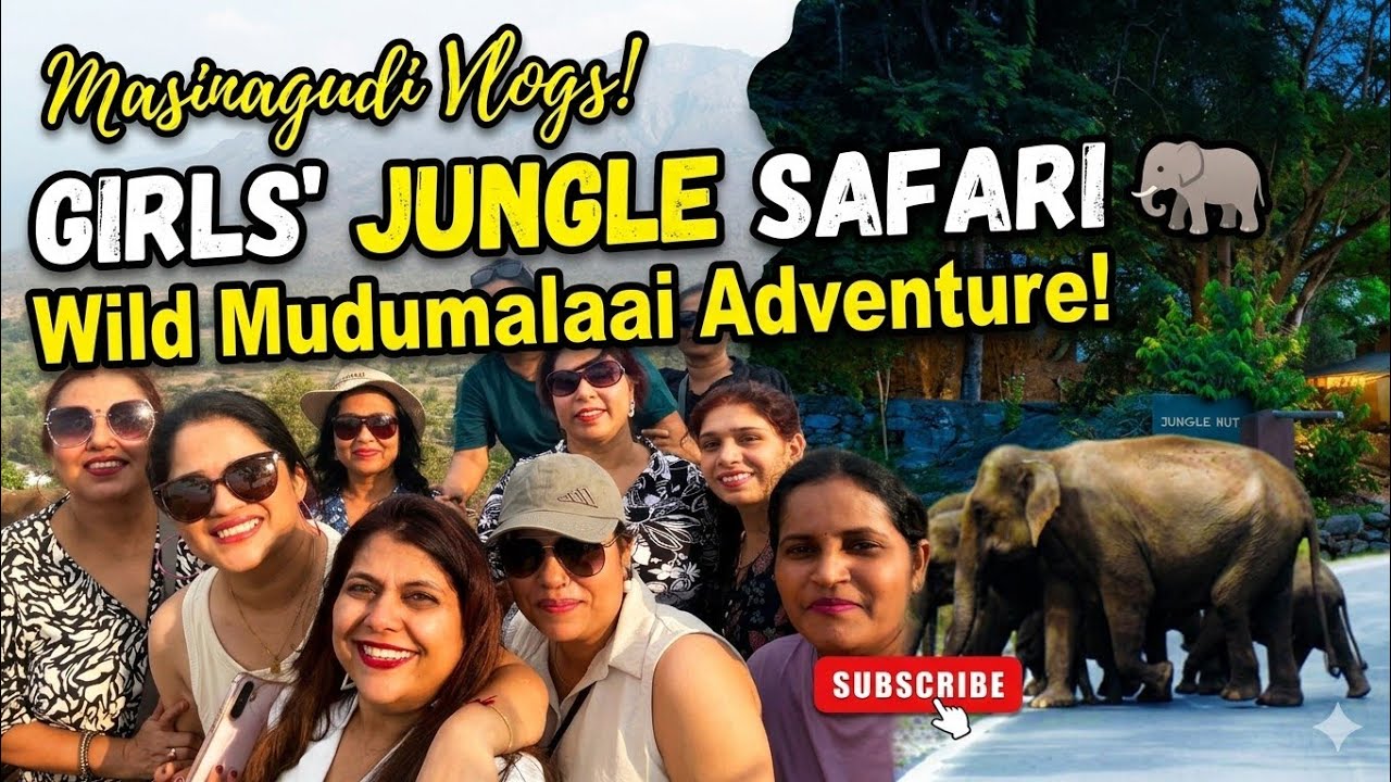 Bangalore to Masinagudi| Mudumalai Tiger Safari |Rover resort #masinagudi #madumalai