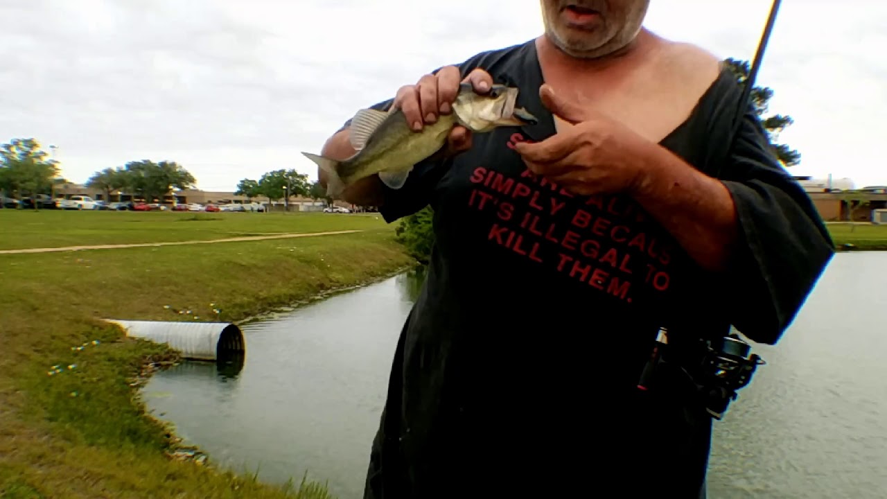 Bass on Storm Wild Eye baby crappie lure