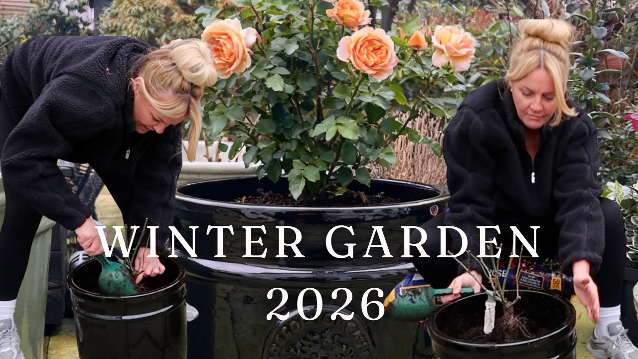 My Winter Garden In The UK Planting DA Bare Roots