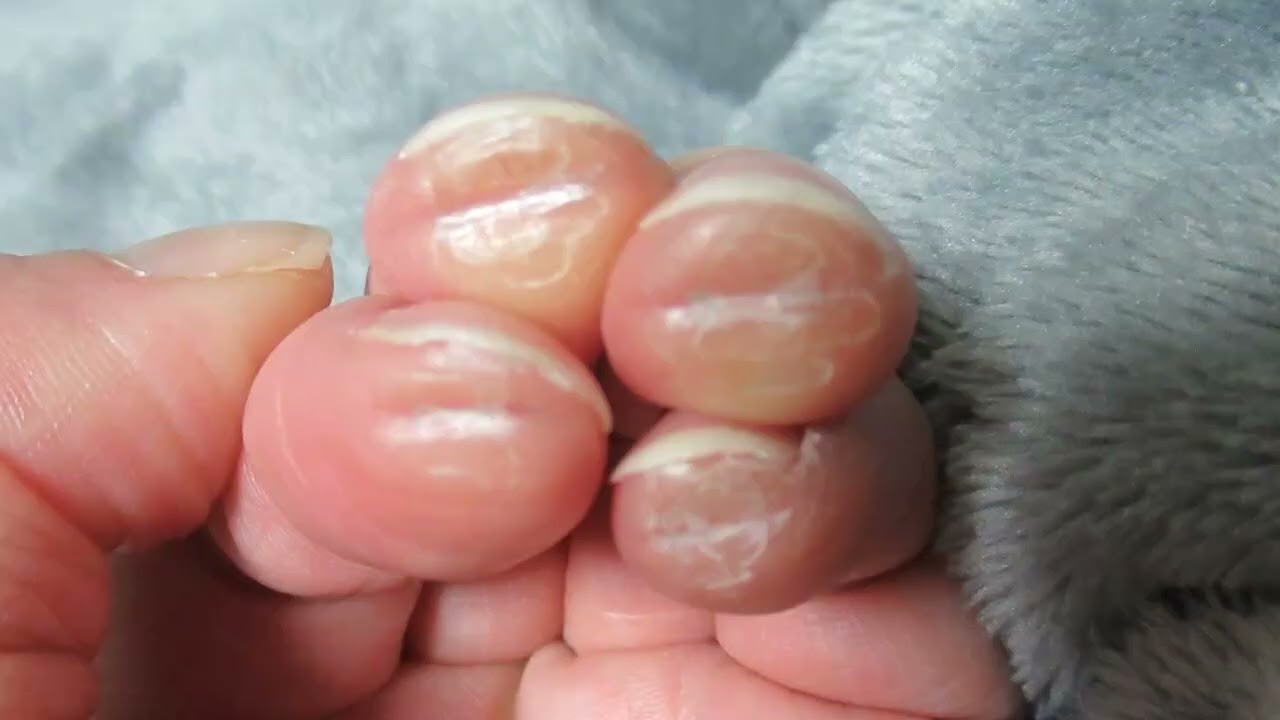 おしゃべりすずこ　566回目　2026.2.19
