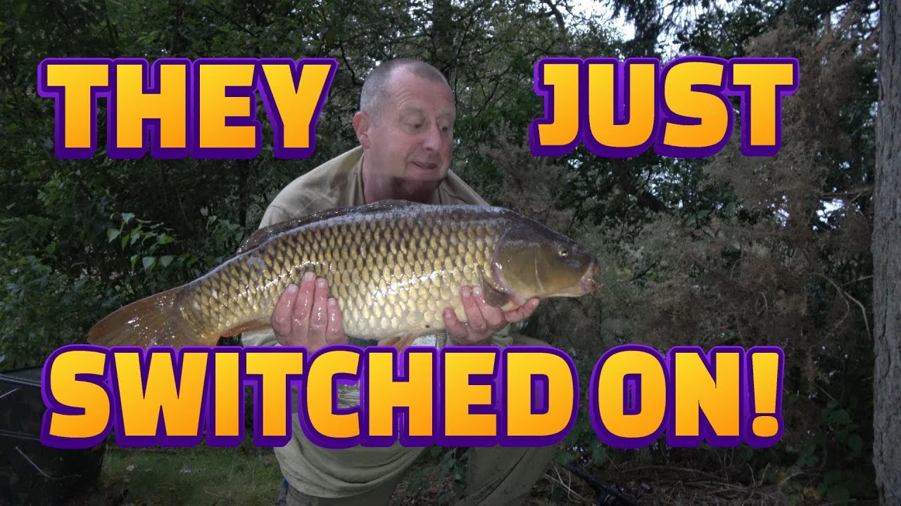 CARP BITE TIME