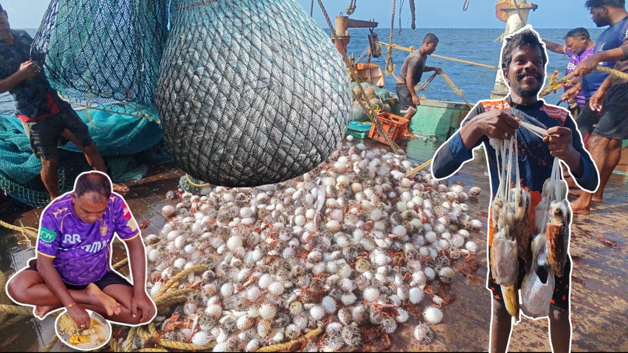 💢 Day-8||Epic 2‼️Amazing 🤩 Caught In Lots Of Ripon Fish In Middle Of The Ocean🔥💯
