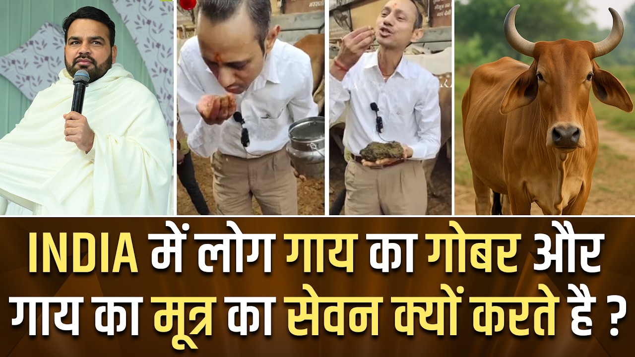 India में लोग गाय का गोबर और गाय के मूत्र का सेवन क्यों करते है ? Sukhpal Rana Ministries ||