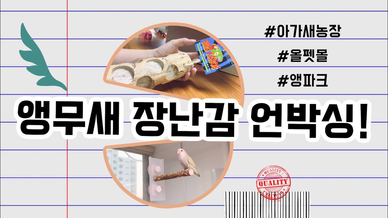집사와 앵무새 모두가 만족하는 장난감은?