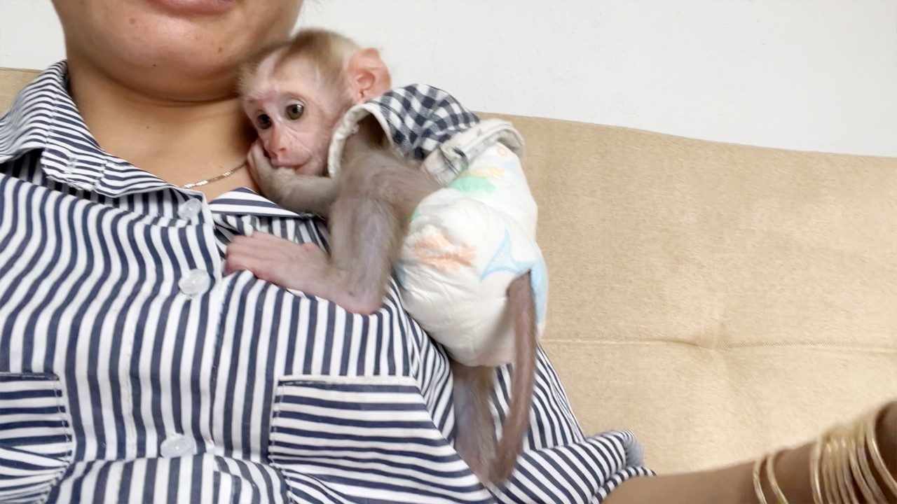Poor Baby Tauch Very Tight Hug Mommy Not Dare To Get Off