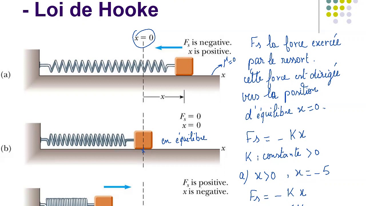 7 3 Travail effectué par un ressort   Loi de Hooke