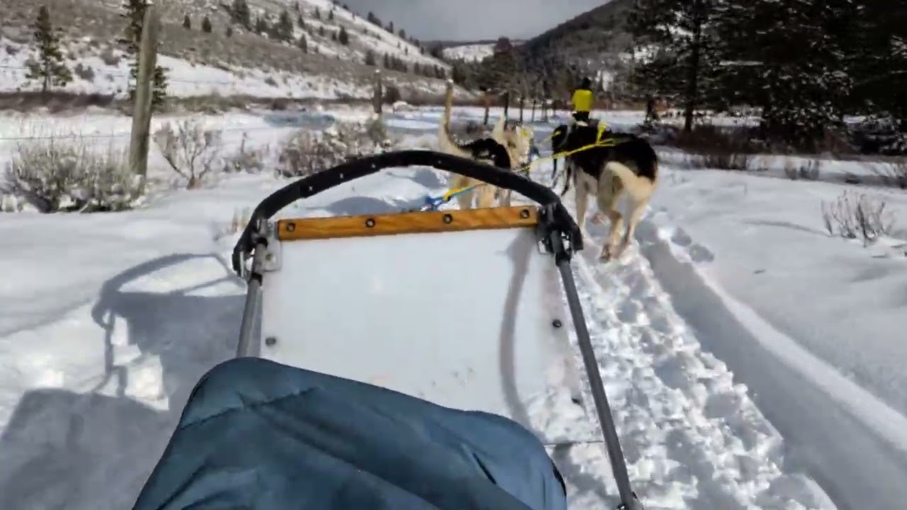 Bobsled Yellowstone Adventure 02192026 DG