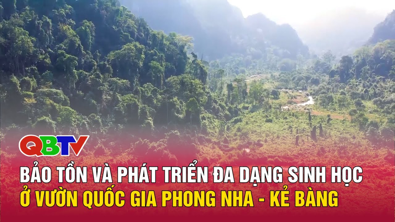Bảo tồn và phát triển đa dạng sinh học ở vườn Quốc gia Phong Nha - Kẻ Bàng| QBTV