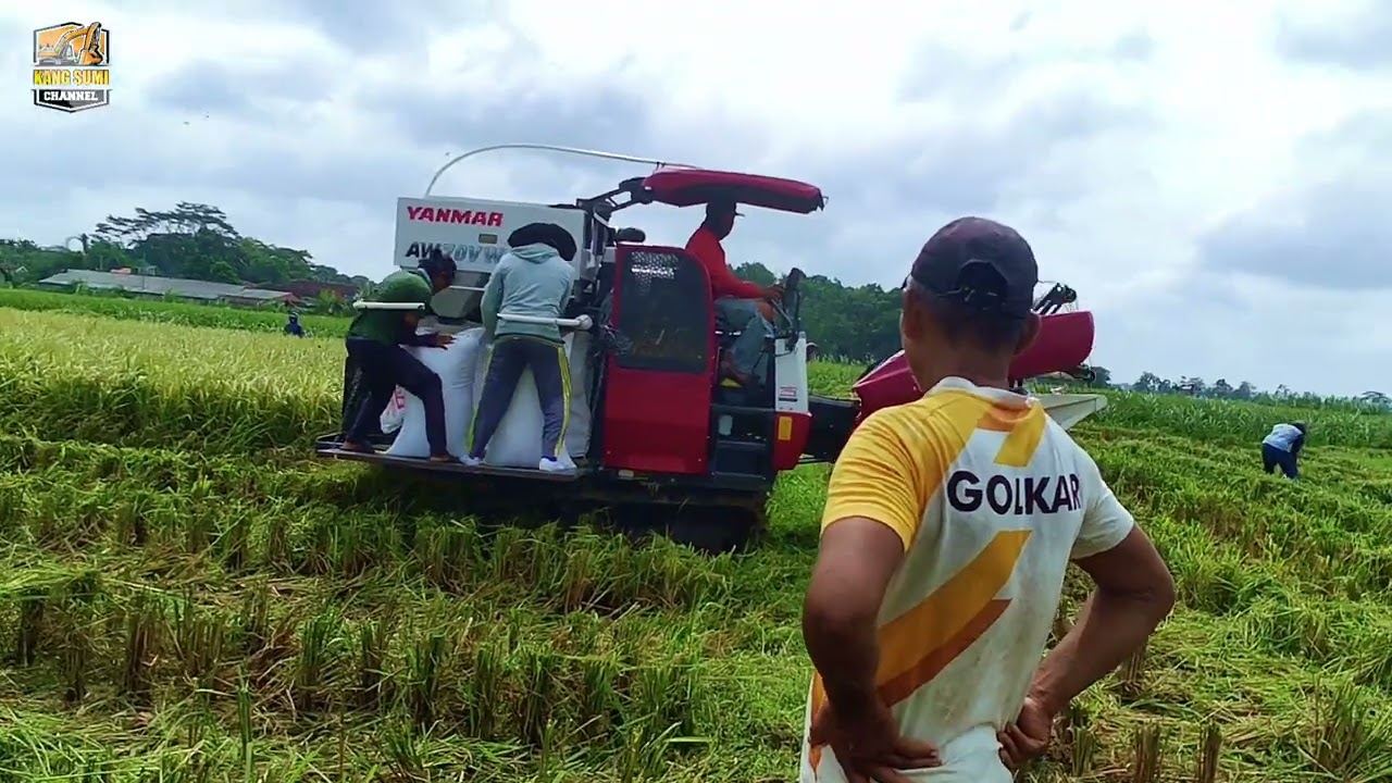 KETEMU PAMAN BOS SUMUR BOR MELU GOLEK DAMEN
