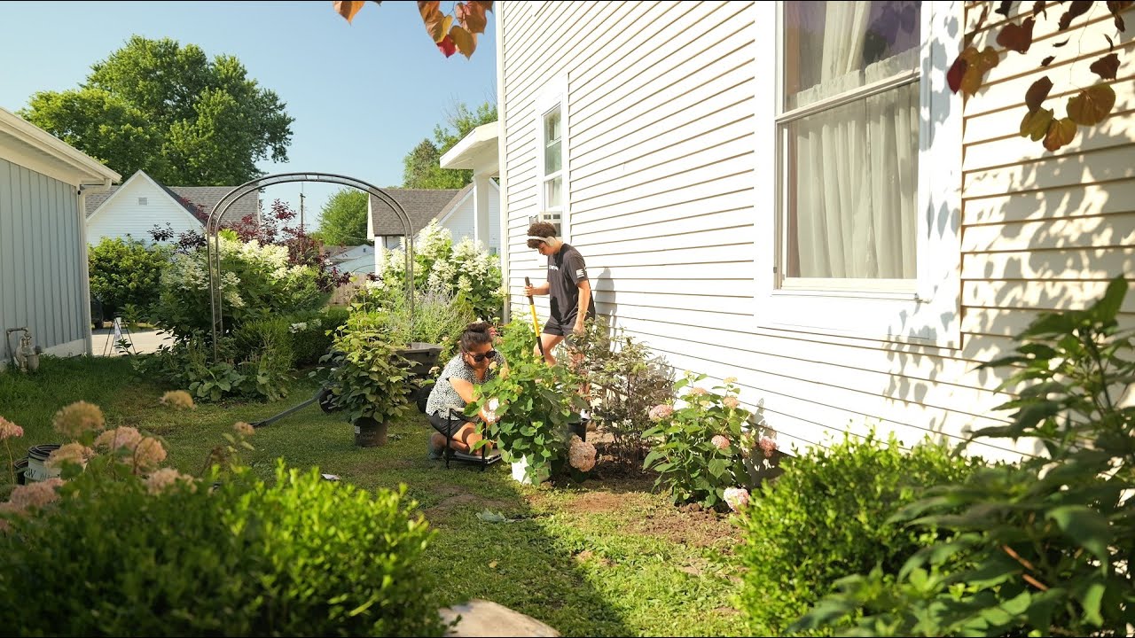 From grass to flower bed 🌿Planting shrubs, perennials and adding mulch