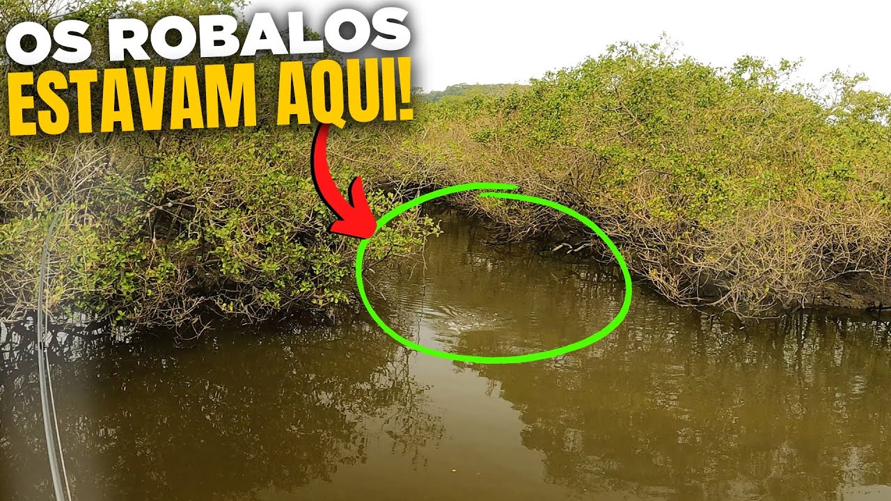 MUITOS ROBALOS NESSA BOCA DE RIO! Pescaria de Robalos com Iscas Artificiais