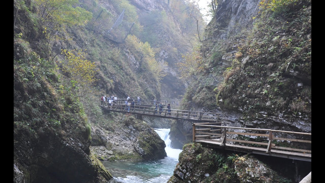 Słowenia październik 2022 r, Wąwóz Vintgar, miasta Ptuj, Piran, Jaskinia Postojna