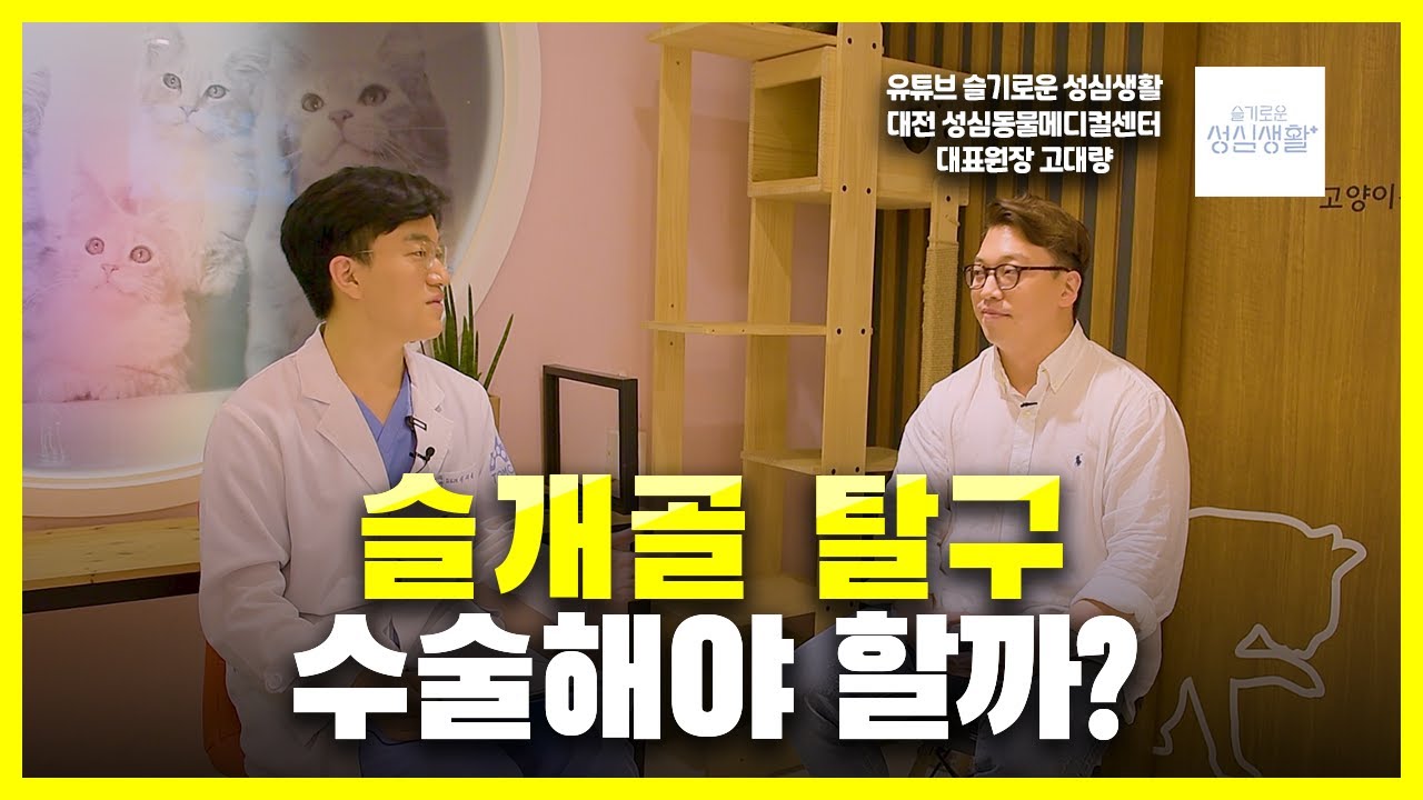 강아지 슬개골 탈구에 대한 궁금한 모든 것들 | 벳터뷰 EP.01