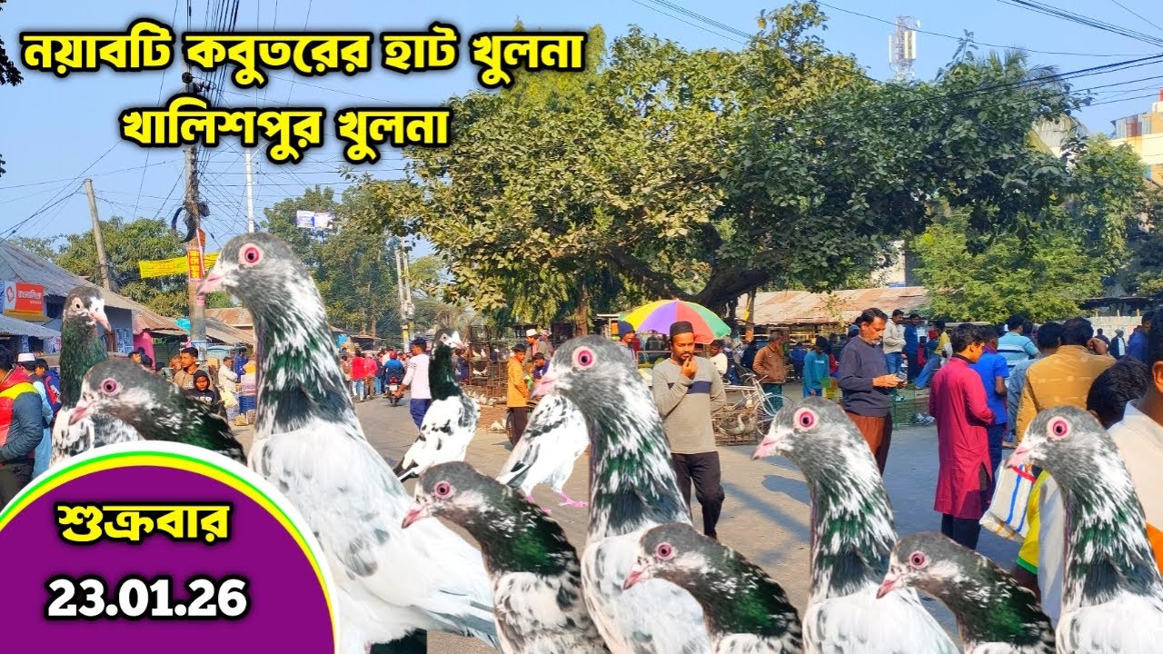 সবথেকে বড় কবুতরের হাট খুলনা নয়াবাটি খালিশপুর। largest pigeon market in khulna khalishpur।