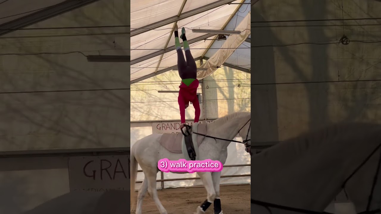 La mia ROUTINE pomeridiana #equestriangirl #equestriansport #vaulting