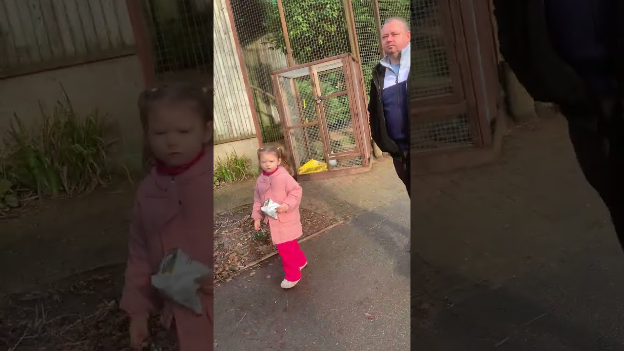 Banham zoo train tour