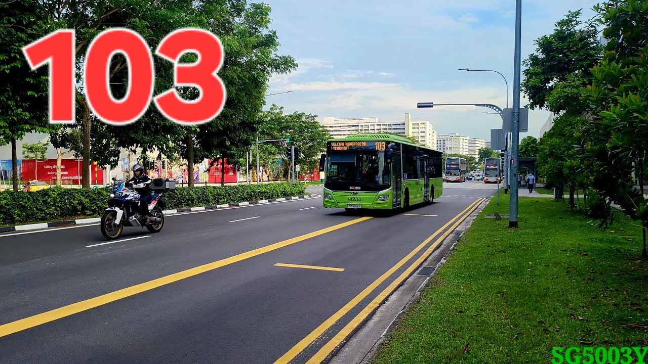 SBST Bus Services 103 [MAN NL323F (Euro VI)] Joyride