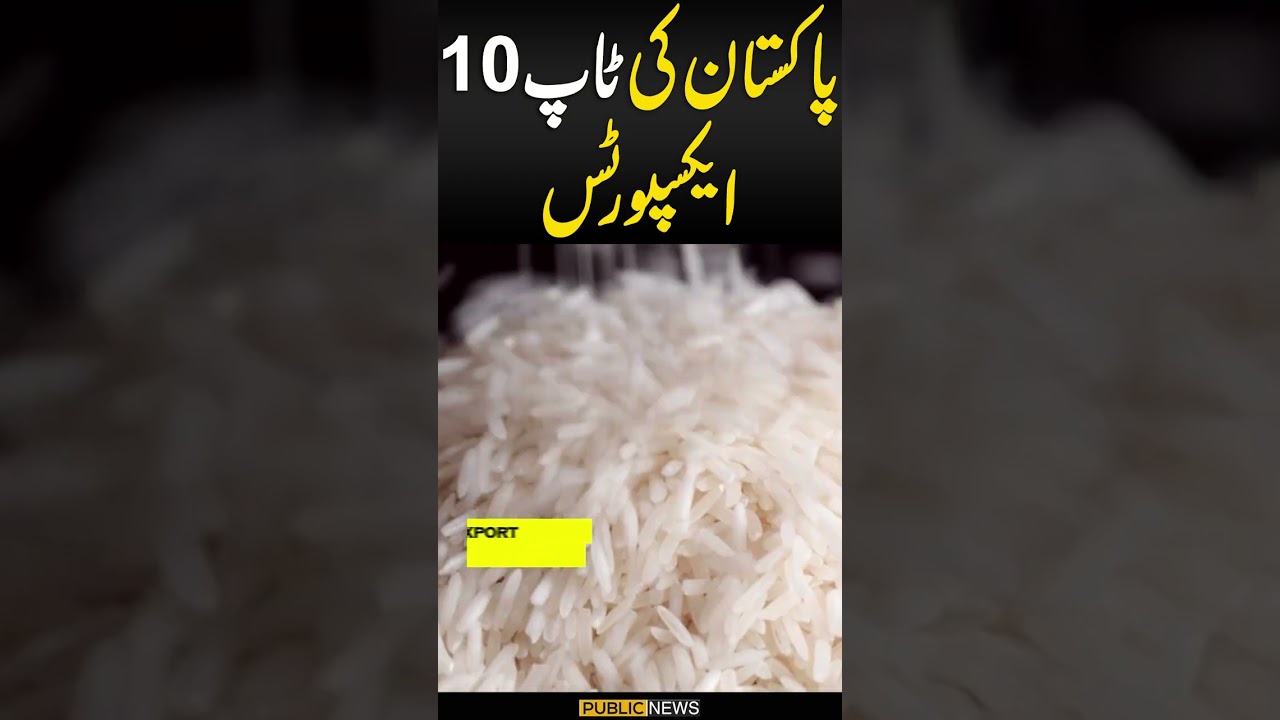 Pakistan's TOP 10 Exports | You will be SHOCKED 