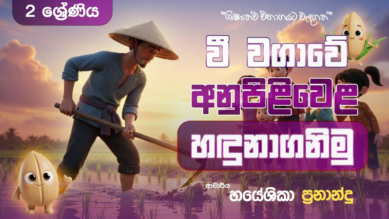 වී වගාවේ අනුපිළිවෙළ හඳුනාගනිමු | 2 ශ්‍රේණිය | DR.HAYESHIKA FERNANDO