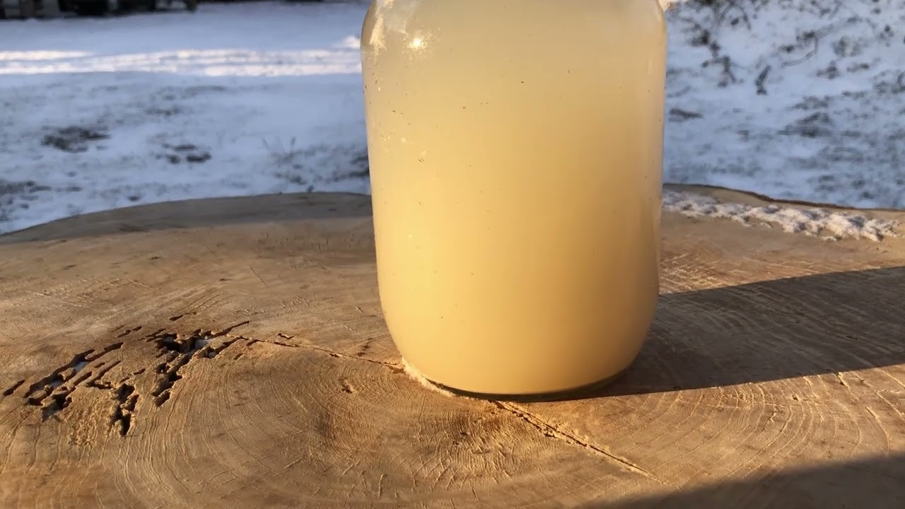 Schnaps brennen - Maische klären
