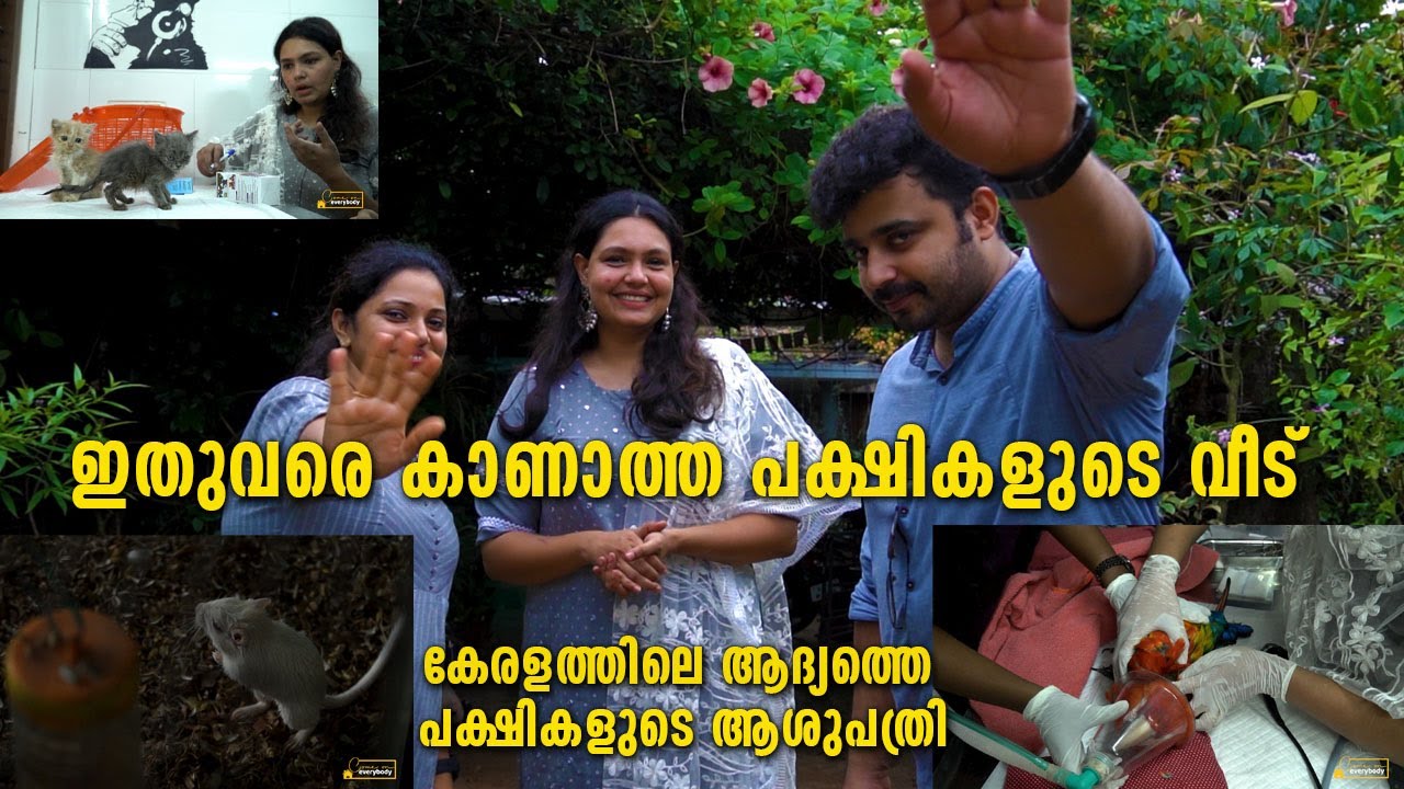 വെറുമൊരു വീടല്ല; ഈ ഡോക്ടറുടെ പക്ഷി വീടാണിത്, ഒരു മൃഗാശുപത്രിയും ഒപ്പം|Exotic Birds & Animal Hospital