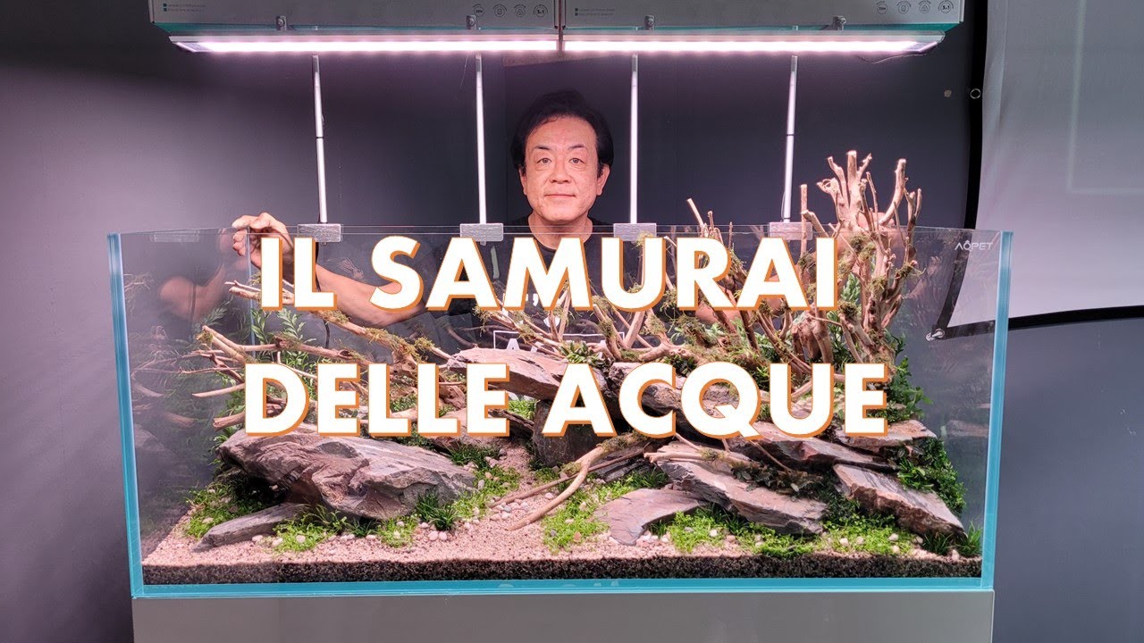 Evento di Aquascaping presso AQDESIGN con il maestro Fukada