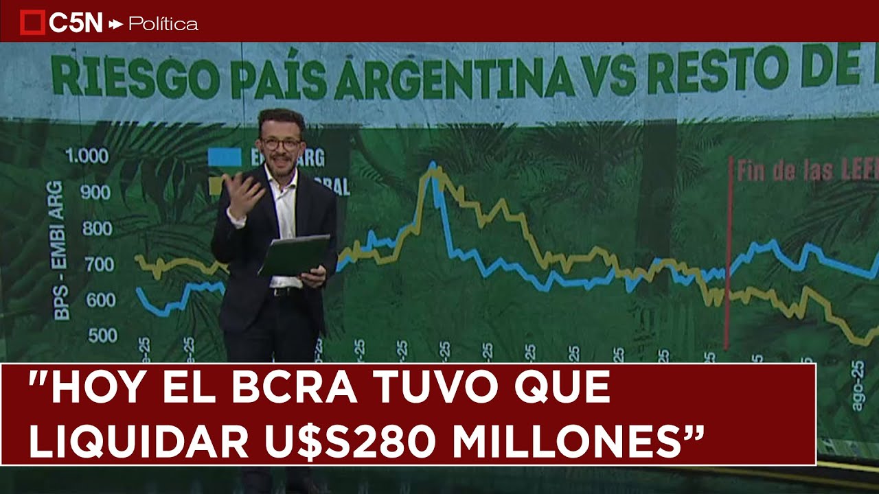 EDITORIAL de ALE BERCOVICH en LA LEY DE LA SELVA | 8-9-25