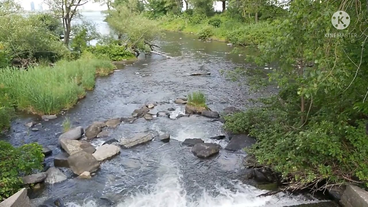 The NATURE in parc Des Rapides LASALLE..(Stay Calm and view the nature)