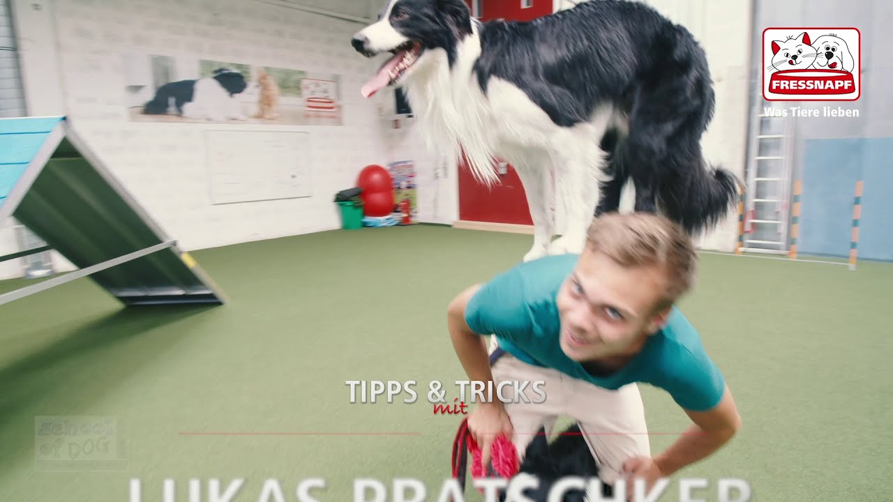 Reizangeltraining mit Lukas