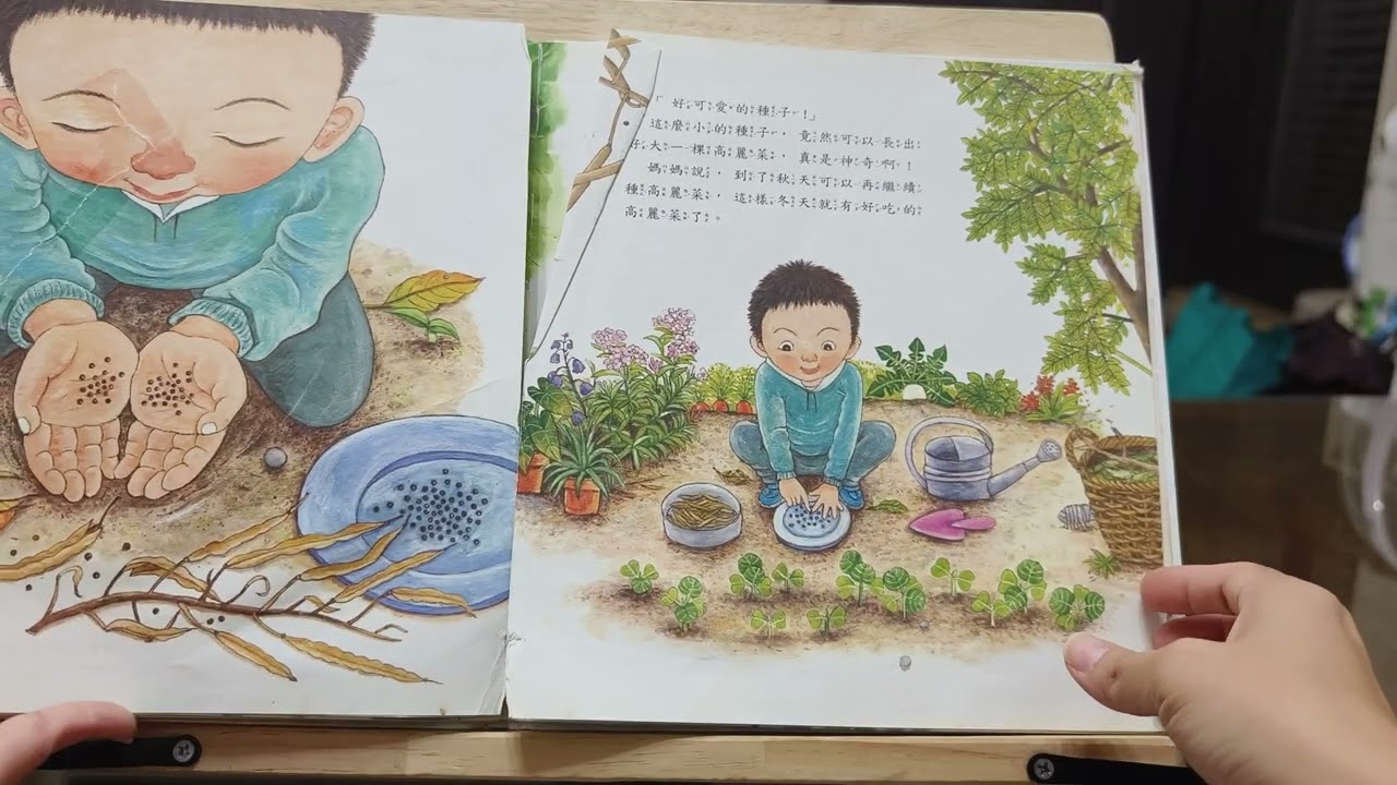 我種了高麗菜-低年級