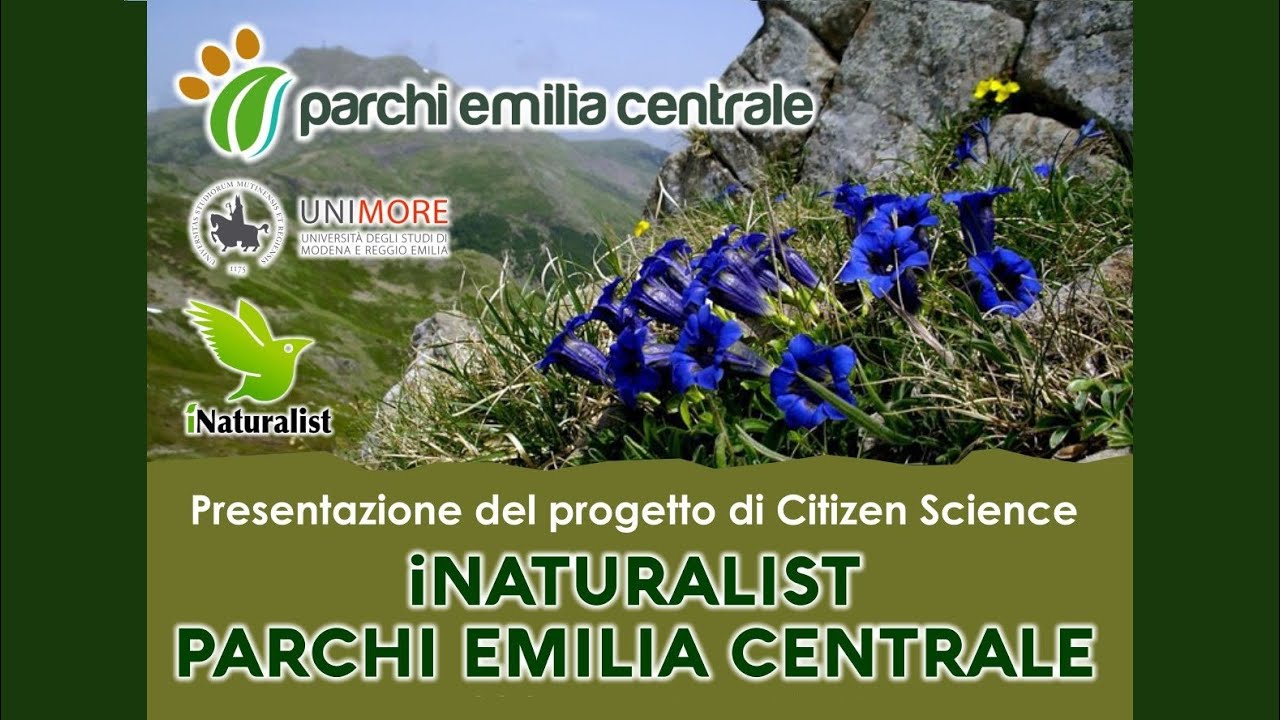 Presentazione del progetto 