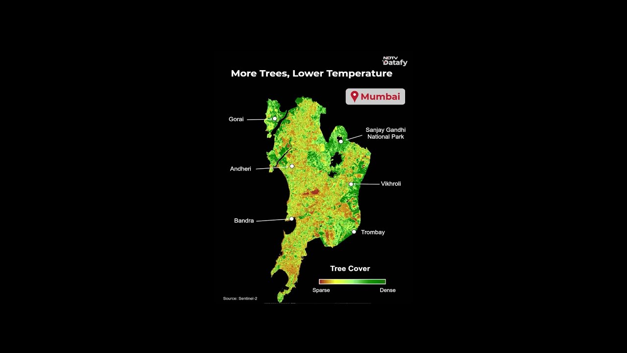 Heatwave India | Mumbai&rsquo;s Green Shield: More Trees, Lower Temperatures
