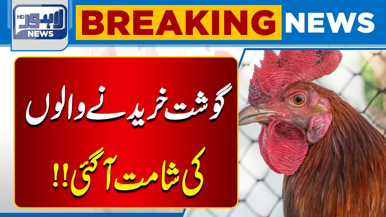 Chicken New Price Update in Pakistan | Inflation Hits Poultry Market | Latest Chicken Rate Today
