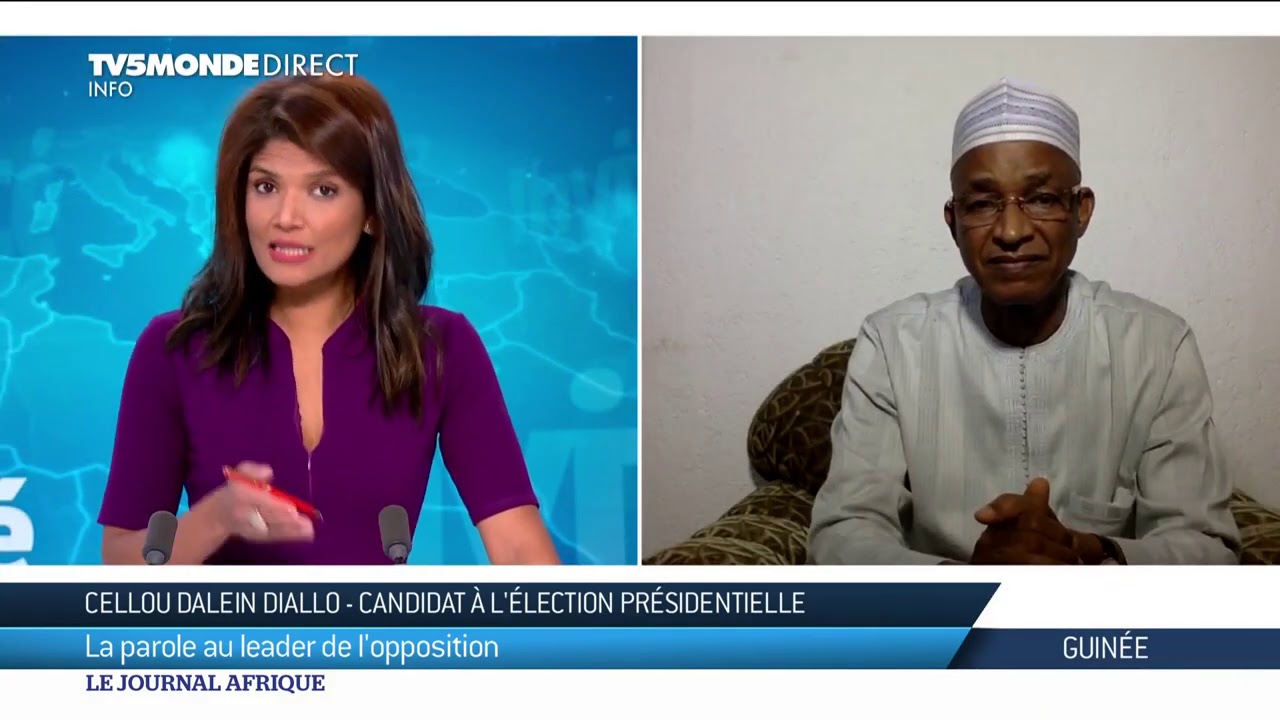 Guinée - Entretien avec Cellou Dalein Diallo