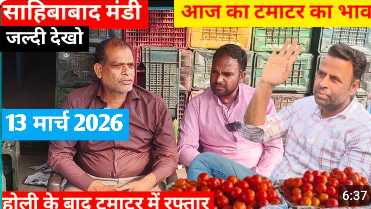 Why This Indian Mandi is Full of Tomatoes 🍅आज का टमाटर  भाव