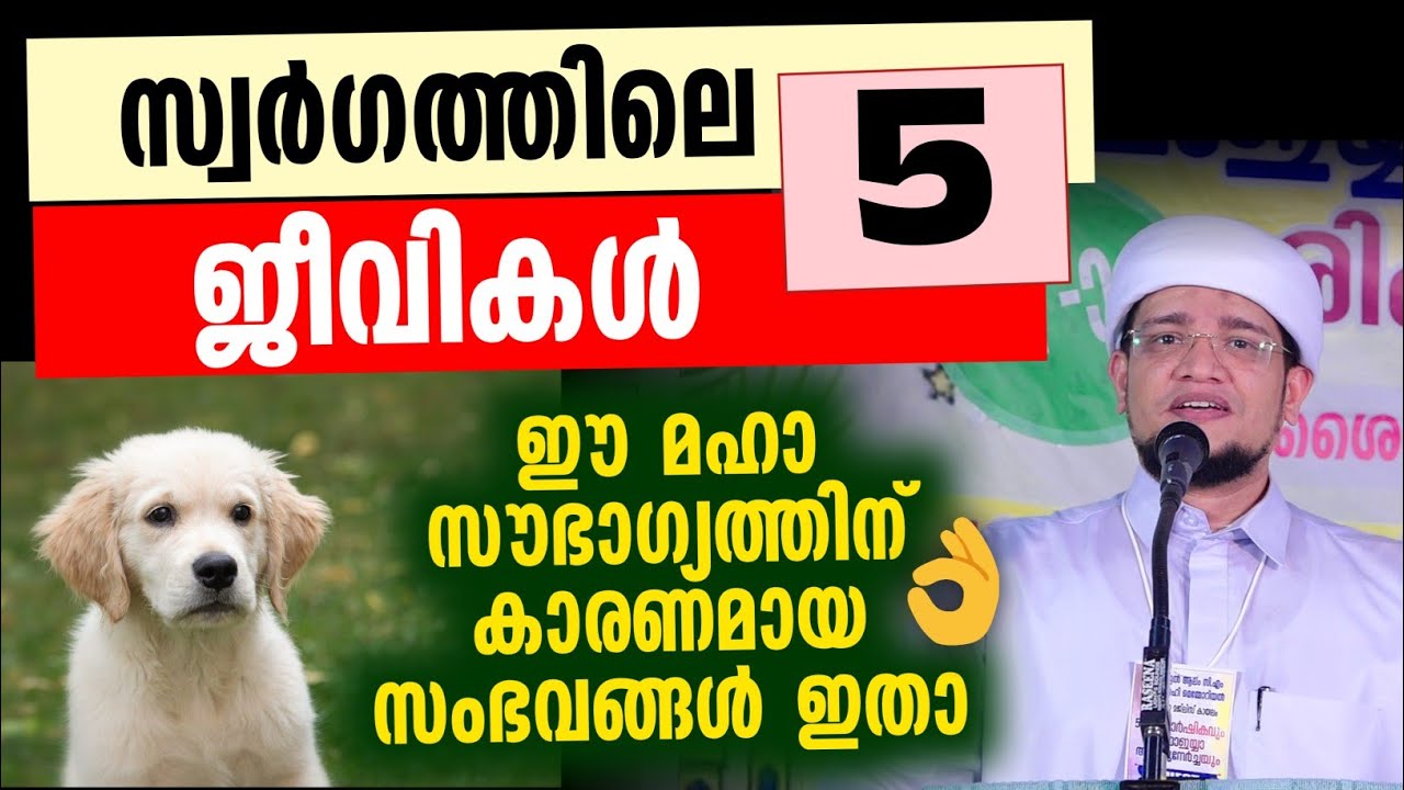 റാഫി അഹ്സനിയുടെമനോഹരമായ ഒരു വഅള് | സ്വർഗ്ഗത്തിലെ അഞ്ച് ജീവികൾ 
