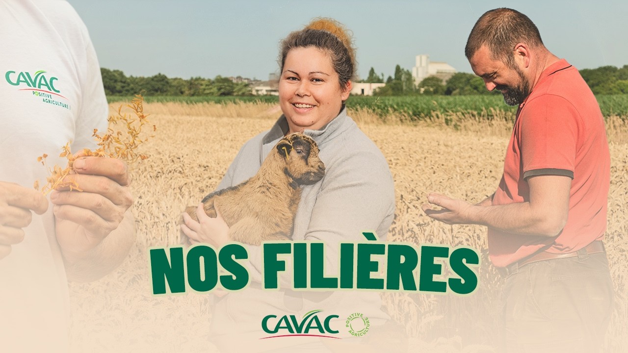 Film filières Cavac