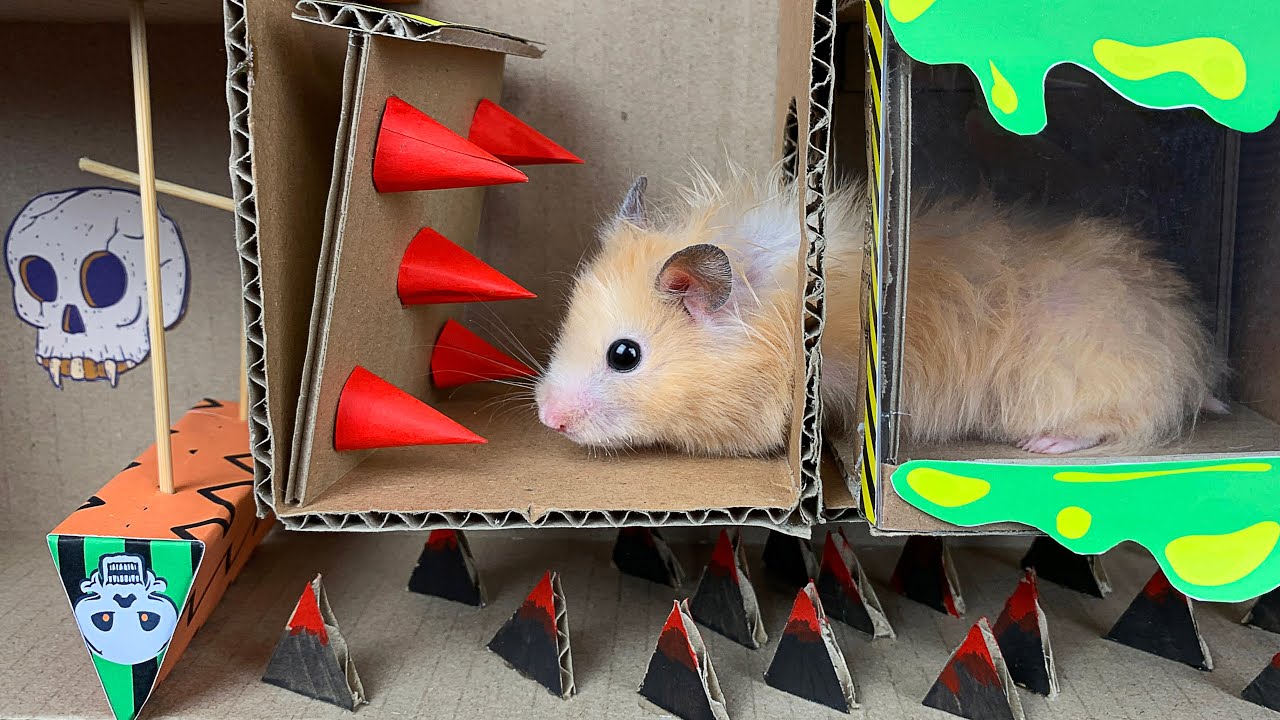 🐹 HALLOWEEN HAMSTER MAZE with TRAPS 😱[Obstacle Course]😱