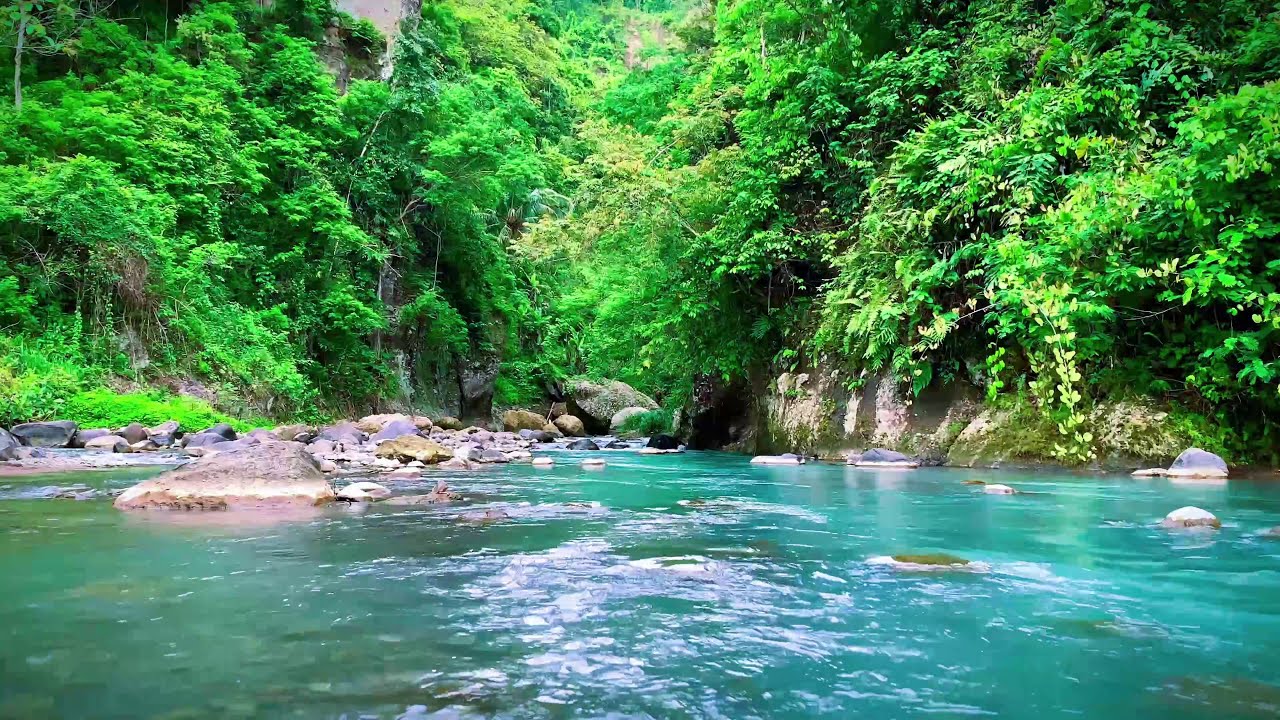 Relaxing Mountain River Flowing Sounds | Nature Sounds White Noise | Peaceful and Relax