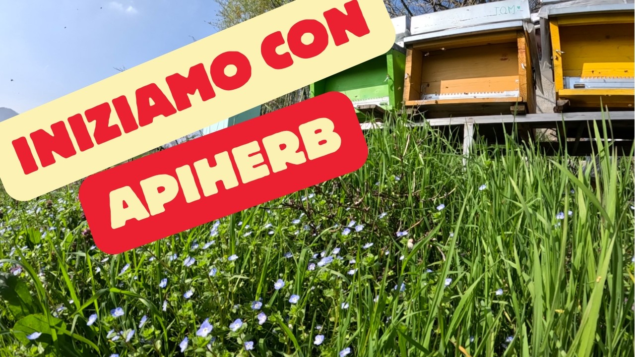 Apicoltura 2026: Iniziamo con Apiherb