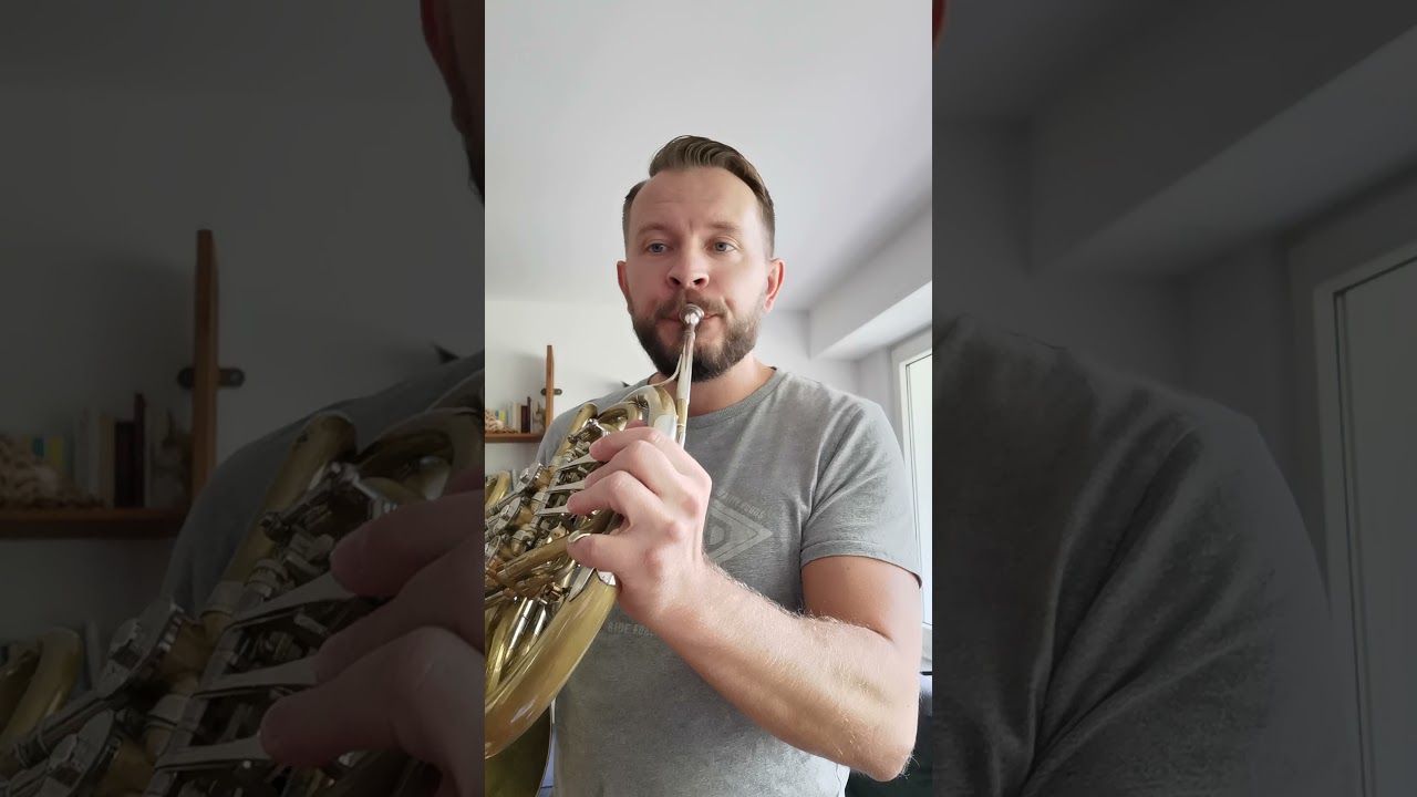 Concerto pour Une Voix - Saint Preux - French Horn Play along - Karaoke